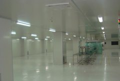 凈化車間這些標準，你知道嗎